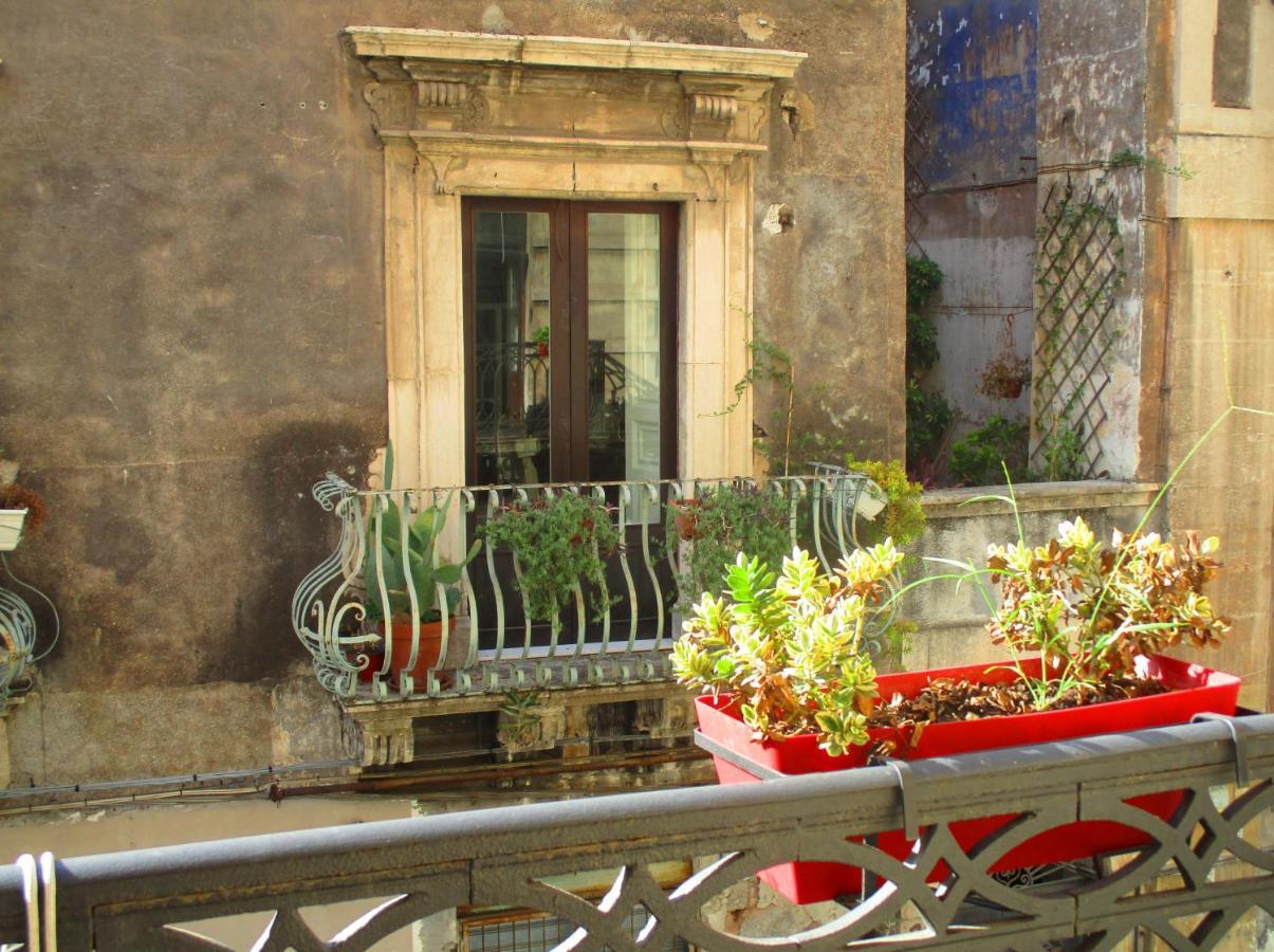 Bed and Breakfast Diletta Oasi CTA Exteriér fotografie